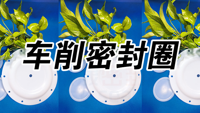 2車(chē)削密封圈，氣動(dòng)隔膜泵膜片密封件